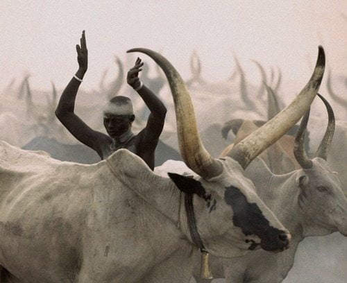 Dinka Man Imitating Horns