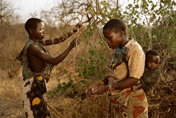 The-african-tribe-Hadza3