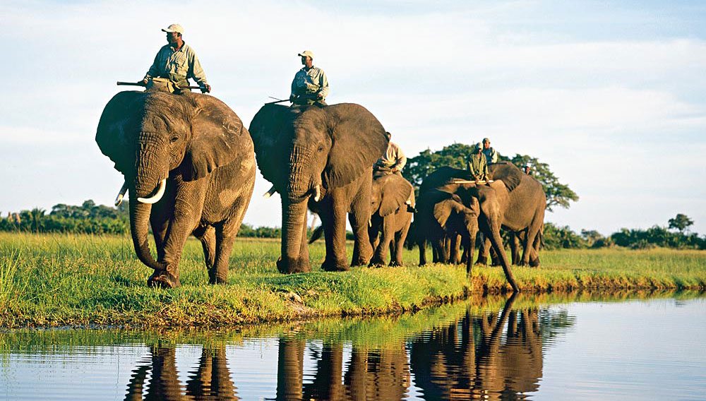 An elephant-back safari through the Okavango Delta is the highlight of a stay at Botswana’s Abu Camp. 